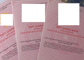 TS. Hồ Minh Sơn – Chủ tịch HĐQL Viện IRLPIE, Viện trưởng Viện IMRIC: Luật Đất đai (sửa đổi) rất phù hợp với thực tế hiện nay – Xây dựng lại khái niệm hộ gia đình sử dụng đất