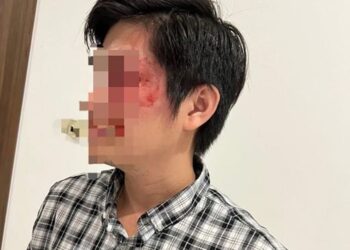 TS. Luật gia Hồ Minh Sơn: Chủ vật nuôi phải bồi thường thiệt hại nếu vi phạm về việc quản lý, nuôi nhốt, có thể bị truy cứu trách nhiệm hình sự vì hành hung người cha bảo vệ con