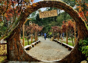 NÂNG TẦM NHIẾP ẢNH TỪ VIỆC KẾT NỐI GIỚI TRẺ – LAN TOẢ, PHÁT HUY ĐỘI NGŨ KẾ THỪA