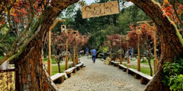 NÂNG TẦM NHIẾP ẢNH TỪ VIỆC KẾT NỐI GIỚI TRẺ – LAN TOẢ, PHÁT HUY ĐỘI NGŨ KẾ THỪA