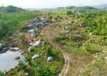 Công ty TNHH bất động sản Đất Gốc: Chủ động chuyển hướng phát triển phân khúc bất động sản giá trị thực, mức giá thấp có tính thanh khoản cao