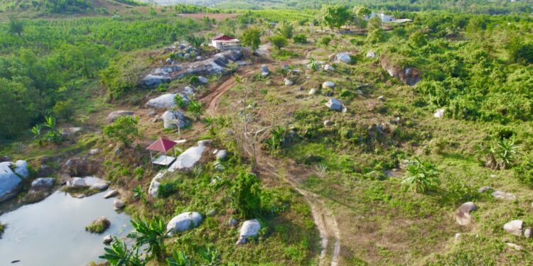 Công ty TNHH bất động sản Đất Gốc: Chủ động chuyển hướng phát triển phân khúc bất động sản giá trị thực, mức giá thấp có tính thanh khoản cao