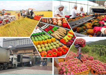 TS Hồ Minh Sơn – Giám đốc Trung tâm tư vấn pháp luật Toàn Tâm (TTLCC): Doanh nghiệp cần chủ động bảo vệ và thích ứng với các cuộc chơi ở thị trường lớn