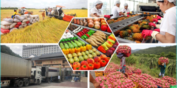 TS Hồ Minh Sơn – Giám đốc Trung tâm tư vấn pháp luật Toàn Tâm (TTLCC): Doanh nghiệp cần chủ động bảo vệ và thích ứng với các cuộc chơi ở thị trường lớn