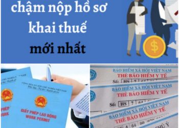 TS Hồ Minh Sơn – Giám đốc Trung tâm TTLCC phúc đáp về thời hạn thẻ bảo hiểm y tế của học sinh, sinh viên – Cấp giấy phép lao động, Doanh nghiệp chậm nộp tờ khai thuế bị xử lý ra sao?
