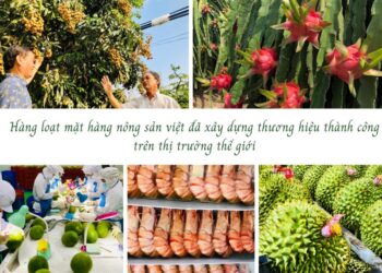 TS Hồ Minh Sơn – GIám đốc Trung tâm tư vấn pháp luật Toàn Tâm (TTLCC): Ứng dụng khoa học công nghệ – Sản phẩm nông nghiệp sẽ đột phá, lan toả đến bạn bè thế giới
