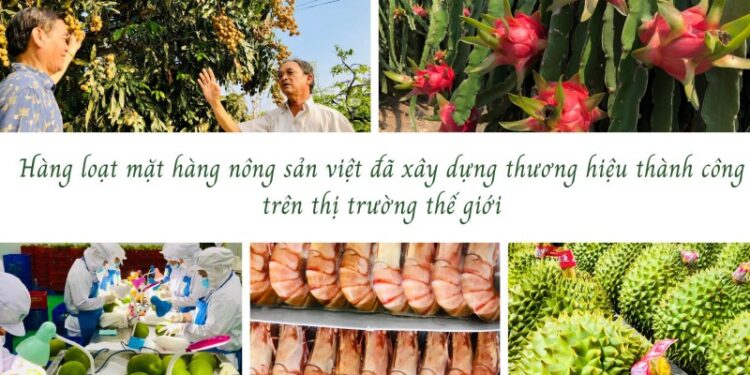 TS Hồ Minh Sơn – GIám đốc Trung tâm tư vấn pháp luật Toàn Tâm (TTLCC): Ứng dụng khoa học công nghệ – Sản phẩm nông nghiệp sẽ đột phá, lan toả đến bạn bè thế giới