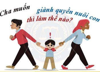 Luật sư Phan Đức Hiếu – Phó giám đốc Trung tâm tư vấn pháp luật Toàn Tâm (TTLCC) tham vấn pháp lý về quyền nuôi con sau ly hôn – Bán nhà đang thế chấp ngân hàng ra sao?