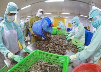 Xuất khẩu nông, lâm, thủy sản 9 tháng năm 2023 đạt gần 38,5 tỷ USD