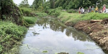 Bà Rịa – Vũng Tàu: Nhiều hộ dân kêu cứu vì trại nuôi heo xả thải