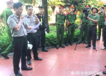 Xót xa vụ việc con chiếm nhà ở của mẹ