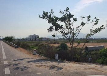 Ủy ban huyện kháng cáo sau khi thua kiện vụ hủy quyết định chuyển mục đích sử dụng đất