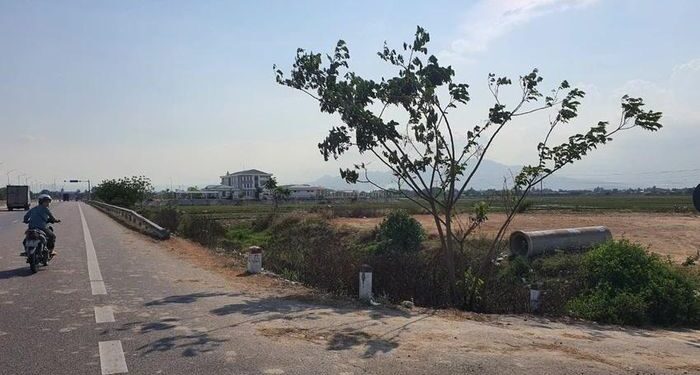 Ủy ban huyện kháng cáo sau khi thua kiện vụ hủy quyết định chuyển mục đích sử dụng đất