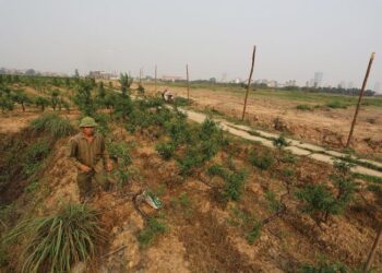 Sửa Luật Đất đai: Những băn khoăn trước giờ ‘bấm nút’