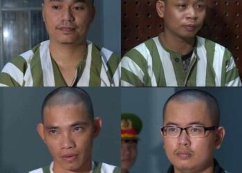 Phê chuẩn khởi tố nhóm đối tượng trong đường dây mua, bán thận