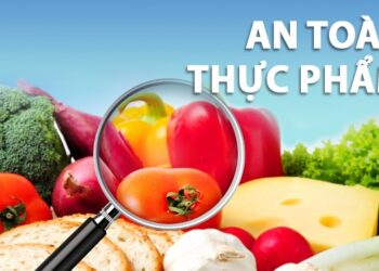 Trung tâm tư vấn pháp luật Toàn Tâm (TTLCC) chuẩn bị tổ chức toạ đàm khoa học “Pháp luật về an toàn vệ sinh thực phẩm” tại tỉnh Cà Mau