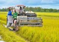 Nghịch lý muốn thừa kế đất nông nghiệp phải có giấy xác nhận là… ‘nông dân’