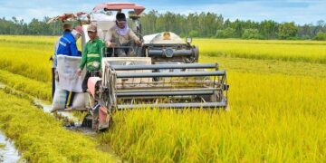 Nghịch lý muốn thừa kế đất nông nghiệp phải có giấy xác nhận là… ‘nông dân’