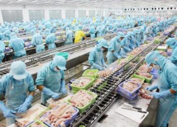 Doanh nghiệp đẩy mạnh khai thác thị trường Á – Âu