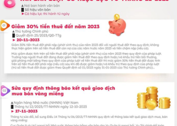 8 văn bản luật có hiệu lực từ tháng 11-2023