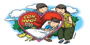 Trung tâm tư vấn pháp luật Toàn Tâm (TTLCC): Ngoại tình đến mức nào thì bị đi tù – Con nuôi có được thừa kế tài sản không?