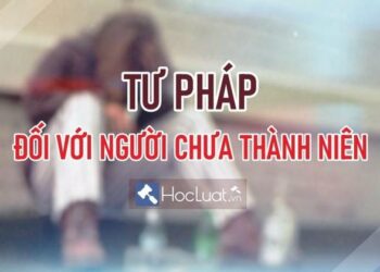 Cần một Luật riêng về tư pháp cho người chưa thành niên