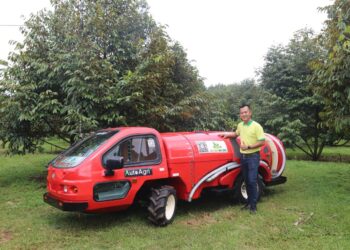 SẦU RIÊNG GIA BẢO TRÊN HÀNH TRÌNH XUẤT KHẨU CHÍNH NGẠCH