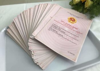 Đất không có giấy tờ sẽ được cấp ‘sổ hổng’ trong trường hợp nào?