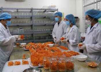 CỰU CHIẾN BINH KHƯƠNG VĂN THUẤN: THÀNH CÔNG NHỜ ỨNG DỤNG KHOA HỌC TRỒNG ĐÔNG TRÙNG HẠ THẢO