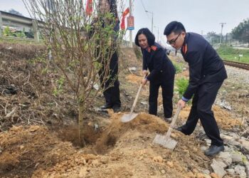 VKSND các cấp tham gia ‘Tết trồng cây đời đời nhớ ơn Bác Hồ’