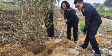 VKSND các cấp tham gia ‘Tết trồng cây đời đời nhớ ơn Bác Hồ’