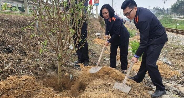 VKSND các cấp tham gia ‘Tết trồng cây đời đời nhớ ơn Bác Hồ’