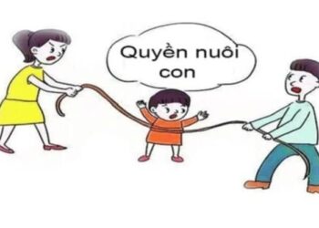 Lập luận của tòa phúc thẩm vụ ‘Vợ cũ tái hôn, chồng kiện đòi lại quyền nuôi con’