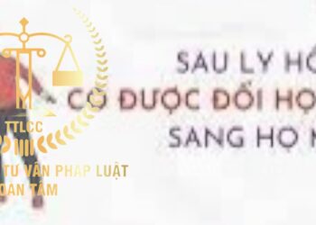 Trung tâm tư vấn pháp luật Toàn Tâm (TTLCC): Được phép đổi họ của con từ họ cha sang họ mẹ – Chồng uống bia trúng 500 triệu đồng, vợ có được chia?