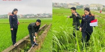 VKSND huyện Quỳnh Lưu kiểm sát việc cưỡng chế, kê biên tài sản thi hành án dân sự