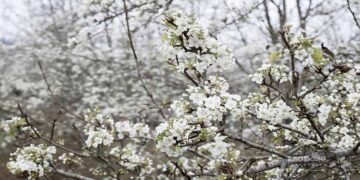 Tâm tư người Thẩm phán