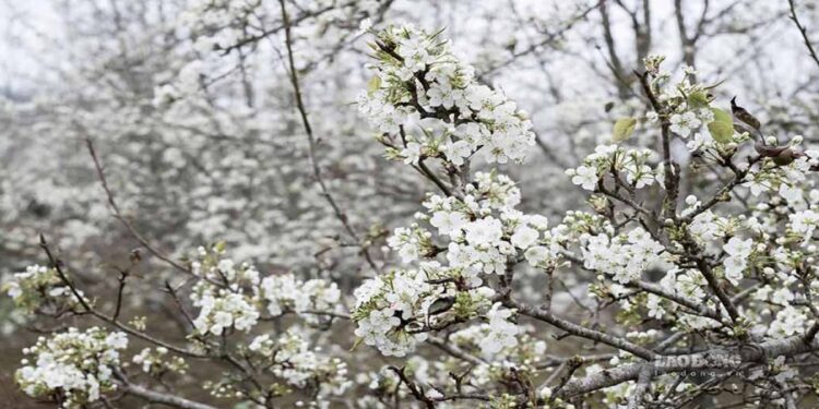 Tâm tư người Thẩm phán