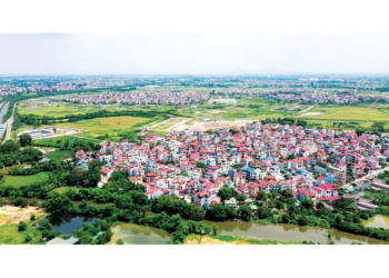 Luật Đất đai 2024: Thẩm quyền giải quyết tranh chấp đất đai