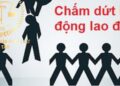 Trung tâm tư vấn pháp luật Toàn Tâm (TTLCC): Sử dụng bằng lái xe giả có thể bị truy cứu trách nhiệm hình sự – Có quyền đơn phương chấm dứt hợp đồng lao động?