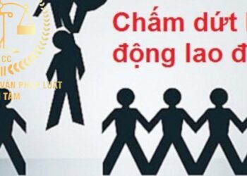 Trung tâm tư vấn pháp luật Toàn Tâm (TTLCC): Sử dụng bằng lái xe giả có thể bị truy cứu trách nhiệm hình sự – Có quyền đơn phương chấm dứt hợp đồng lao động?