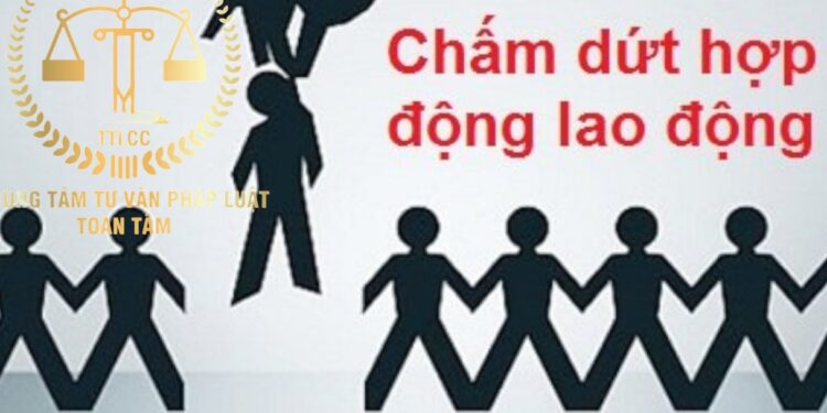 Trung tâm tư vấn pháp luật Toàn Tâm (TTLCC): Sử dụng bằng lái xe giả có thể bị truy cứu trách nhiệm hình sự – Có quyền đơn phương chấm dứt hợp đồng lao động?
