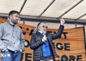 Phiên tranh tụng vụ kiện chất độc da cam của bà Trần Tố Nga