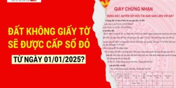 Những loại đất không giấy tờ nào sẽ được cấp sổ đỏ từ1/1/2025?
