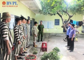 Bộ Công an đề nghị xây dựng dự án Luật Thi hành tạm giữ, tạm giam và cấm đi khỏi nơi cư trú