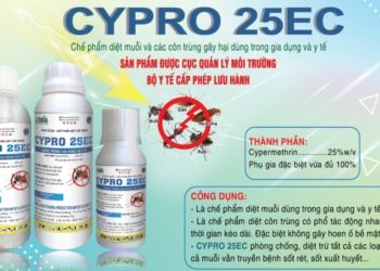 Công ty CPTM SX – XNK Otuksa Nhật Bản vừa cho ra mắt sản phẩm Chế phẩm diệt muỗi thế hệ mới CYPRO 25EC