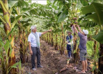 Doanh nhân Võ Quan Huy hành trình hơn 30 năm phủ xanh “Rừng hoang – Ruộng phèn”