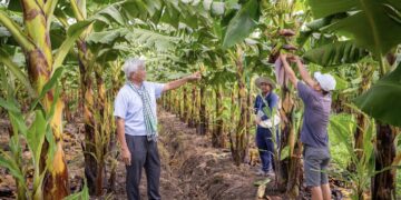 Doanh nhân Võ Quan Huy hành trình hơn 30 năm phủ xanh “Rừng hoang – Ruộng phèn”