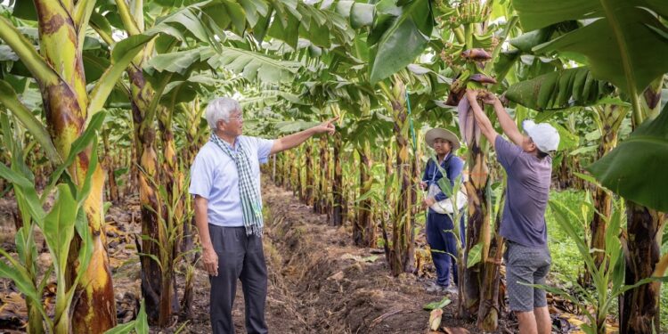 Doanh nhân Võ Quan Huy hành trình hơn 30 năm phủ xanh “Rừng hoang – Ruộng phèn”