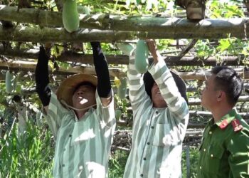 Niềm vui chờ ngày đặc xá