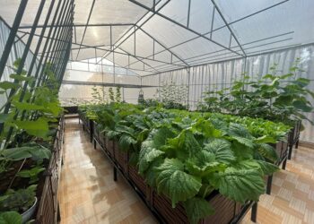 Cơ hội và thách thức trong chuyển đổi, xây dựng hệ sinh thái chuyển đổi xanh